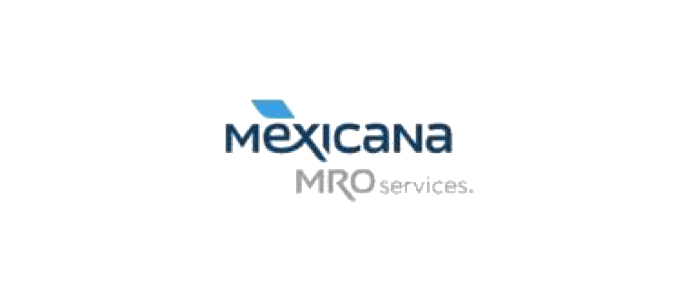 empresas-coaching-empresarial-mexico-12.png